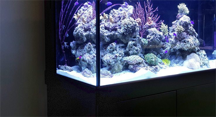 red sea max reef and marine aquarium