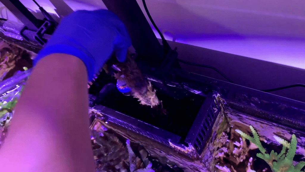 remove both downflow pipes