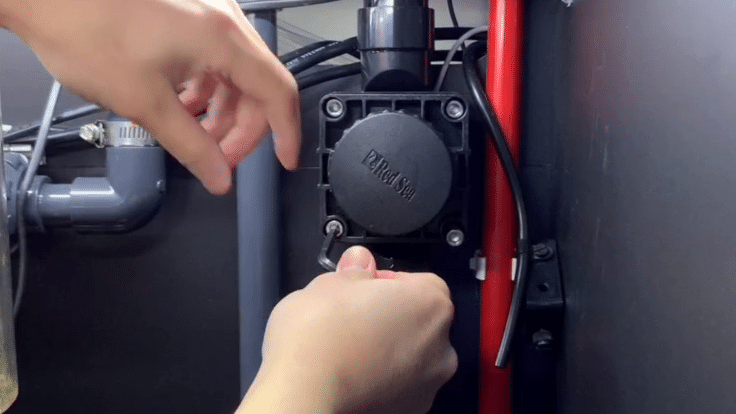 reassemble the valve