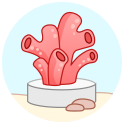 icon-frag-2