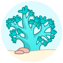 icon-soft-2